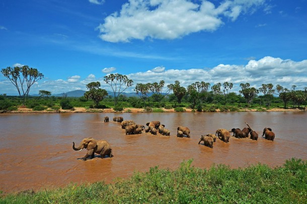 How to plan a Kenyan trip