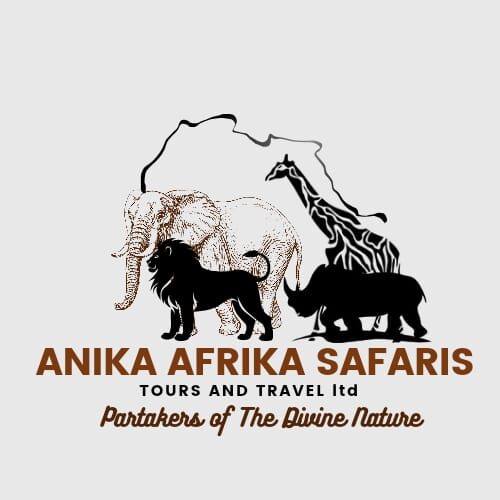 Anika Afrika Safaris 